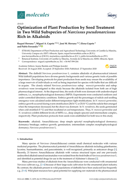 Optimization of Plant Production by Seed Treatment in Two Wild Subspecies of Narcissus Pseudonarcissus Rich in Alkaloids