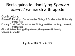 Basic Guide to Identifying Spartina Marsh Arthropods