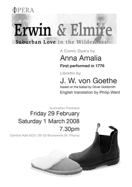 Erwinelmire Program.Pdf