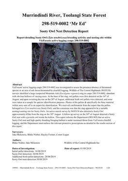 Sooty Owl Nest Detection Report