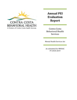 Three Year PEI Evaluation Report