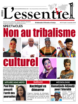 L'essentiel Du Cameroun 1