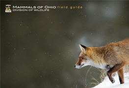 Mammals of Ohio Field Guide DIVISION of WILDLIFE This Booklet Is Produced by the ODNR Division of Wildlife As a Free Publication