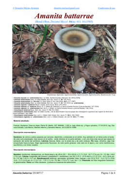 Amanita Battarrae (Boud.) Bon, Docums Mycol