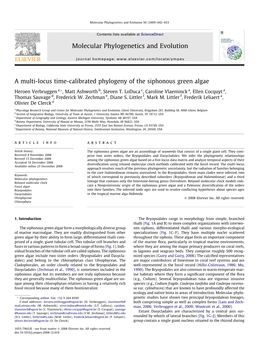 A Multi-Locus Time-Calibrated Phylogeny of the Siphonous Green Algae