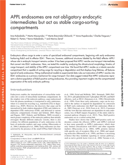 APPL Endosomes Are Not Obligatory Endocytic Intermediates but Act As Stable Cargo-Sorting Compartments