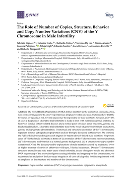 Of the Y Chromosome in Male Infertility