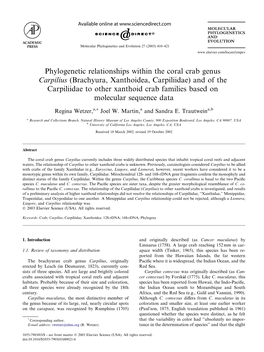 Phylogenetic Relationships Within the Coral