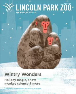 Wintry Wonders Holiday Magic, Snow Monkey Science & More