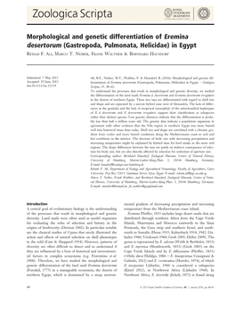 Morphological and Genetic Differentiation of Eremina Desertorum (Gastropoda, Pulmonata, Helicidae) in Egypt