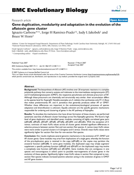 Gene Duplication, Modularity and Adaptation in the Evolution of The