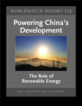Powering China's Development