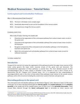 04 34-35 Corticospinal Corticobulbar Pathways.Pdf