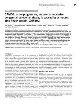 CAMOS, a Nonprogressive, Autosomal Recessive, Congenital Cerebellar Ataxia, Is Caused by a Mutant Zinc-ﬁnger Protein, ZNF592