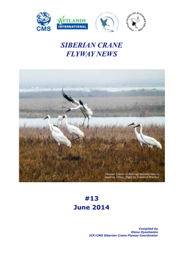 Siberian Crane Flyway News # 13 June 2014