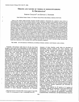 ORIGINS and NATURE of VESSELS in M0n0cotyledons: S