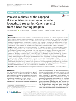 Parasitic Outbreak of the Copepod Balaenophilus Manatorum in Neonate Loggerhead Sea Turtles (Caretta Caretta) from a Head-Starting Program J
