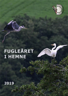 Fugleåret I Hemne 2019