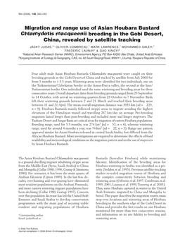 Blackwell Publishing Ltdmigration and Range Use of Asian Houbara Bustard Chlamydotis Macqueenii Breeding in the Gobi Desert, China, Revealed by Satellite Tracking