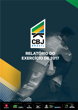 Relatório Do Exercício De 2017