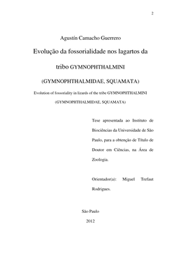 Evolução Da Fossorialidade Nos Lagartos Da