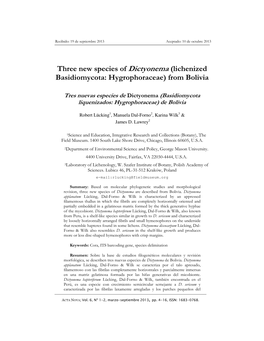 Three New Species of Dictyonema (Lichenized Basidiomycota: Hygrophoraceae) from Bolivia