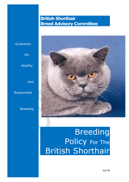 Breeding Policy for the British Shorthair