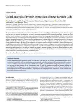 Global Analysis of Protein Expression of Inner Ear Hair Cells