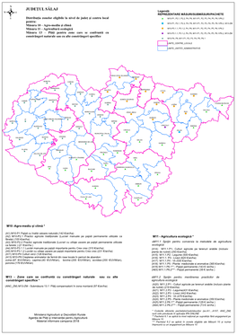 SĂLAJ Legen Dă REPREZENTARE MĂSURI/SUBMĂSURI/PACHETE