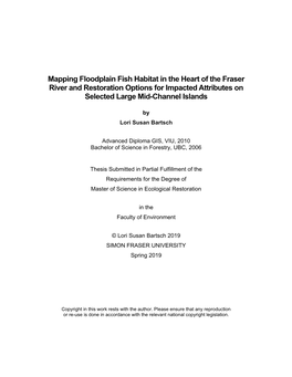 Mapping Floodplain Fish Habitat in the Heart of the Fraser River and Restoration Options for Impacted Attributes on Selected Large Mid-Channel Islands