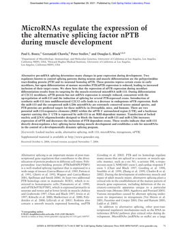 Micrornas Regulate the Expression of the Alternative Splicing Factor Nptb During Muscle Development