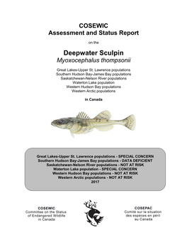 Deepwater Sculpin, Myoxocephalus Thompsonii, a Nearctic Glacial Relict