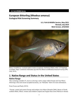 European Bitterling (Rhodeus Amarus) Ecological Risk Screening Summary