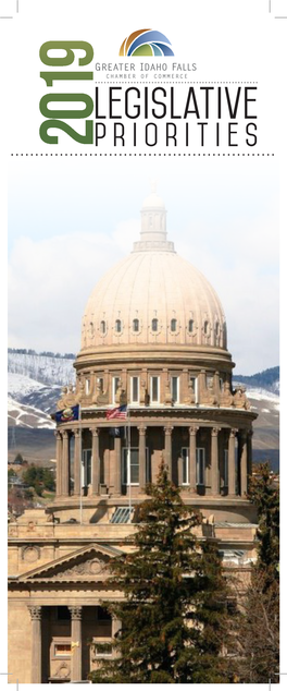 Download the 2019 Legislative Priorities Publication