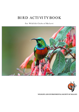 Bird Activity Book