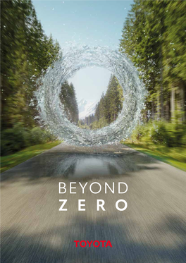 Booklet Beyond Zero