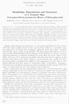 Chlorophyceae) Bohuslav F O T T, Marcela Nov a K Ova and Tomas Ka 1 in A* from the Hydrobiological Field Station on the Ponds of Blatna