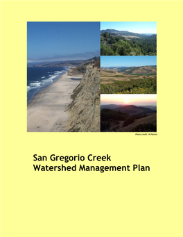 San Gregorio Creek Watershed Management Plan