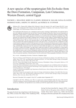 A New Species of the Neopterygian Fish Enchodus from the Duwi Formation, Campanian, Late Cretaceous, Western Desert, Central Egypt