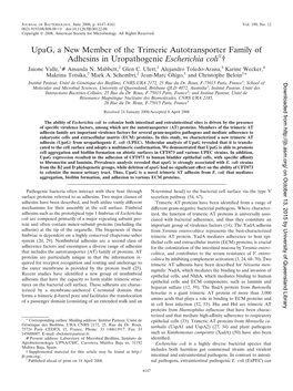 Upag, a New Member of the Trimeric Autotransporter Family of Adhesins in Uropathogenic Escherichia Coliᰔ† Jaione Valle,1# Amanda N