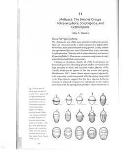 The Smaller Groups Polyplacophora, Scaphopoda, and Cephalopoda Alan L