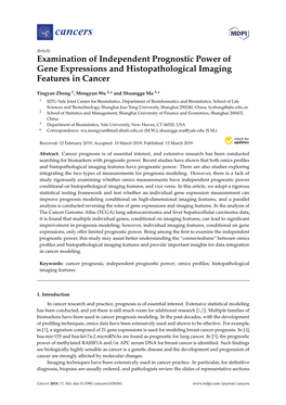 Examination of Independent Prognostic Power of Gene Expressions and Histopathological Imaging Features in Cancer
