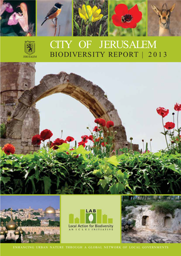 City of Jerusalem