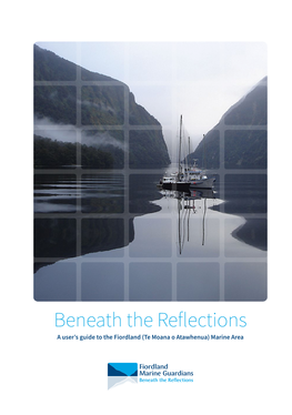 Beneath the Reflections: a User's Guide