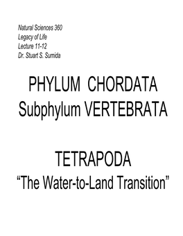 PHYLUM CHORDATA Subphylum VERTEBRATA TETRAPODA