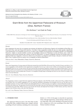 Giant Birds from the Uppermost Paleocene of Rivecourt (Oise, Northern France)