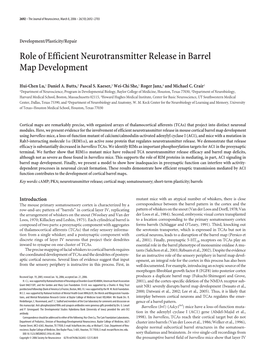 Role of Efficient Neurotransmitter Release in Barrel Map Development