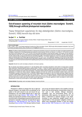 Out-Of-Season Spawning of Mountain Trout (Salmo Macrostigma Duméril, 1858) Through Artificial Photoperiod Manipulation