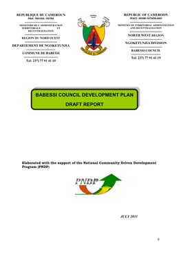 Babessi Council Development Plan Draft Report