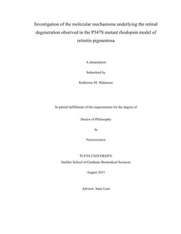 Rhodopsin Mutations Leading to Retinitis Pigmentosa